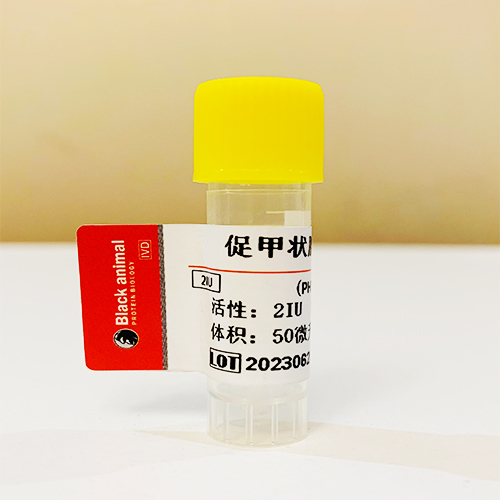 促甲状腺激素（TSH)； TSH-Ag   0.1mg