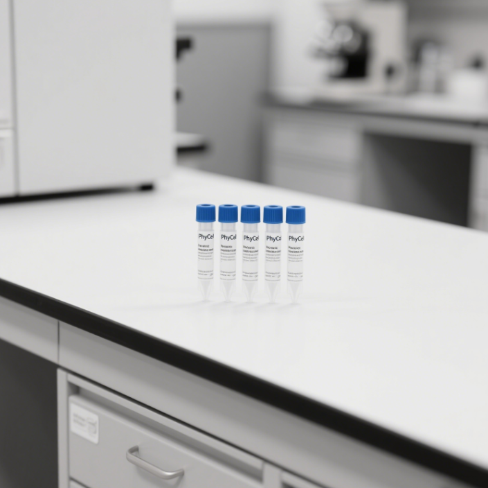 甲氧苄啶（TMP）单克隆抗体