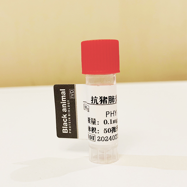 猪肺炎支原体P76病毒蛋白；猪肺炎支原体蛋白