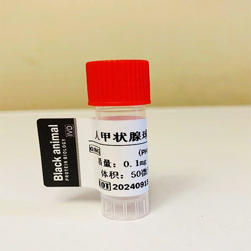 人甲状腺球蛋白(hTG)   hTG-Ag   0.1mg
