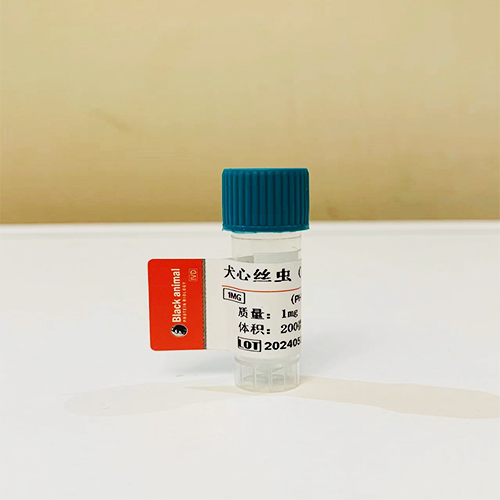 犬心丝虫(HMs‌‌)单克隆抗体；犬心丝虫配对抗体