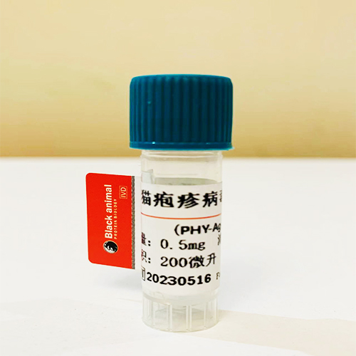 猫疱疹病毒（FHV）单克隆抗体； FHV-McAb