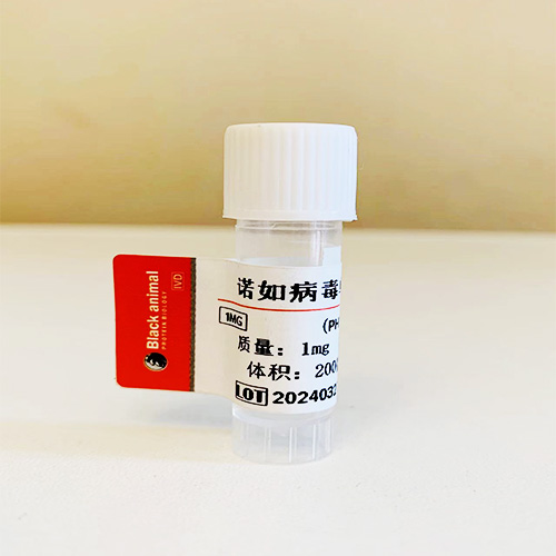 诺如病毒1/2型抗原；NV-Ag