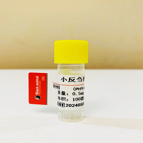 抗小反刍兽疫（PPRV）单克隆抗体；羊瘟抗体
